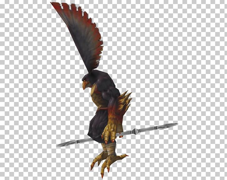 Eagle Fauna Beak Wildlife Feather PNG, Clipart, Animals, Beak, Bird, Bird Of Prey, Eagle Free PNG Download