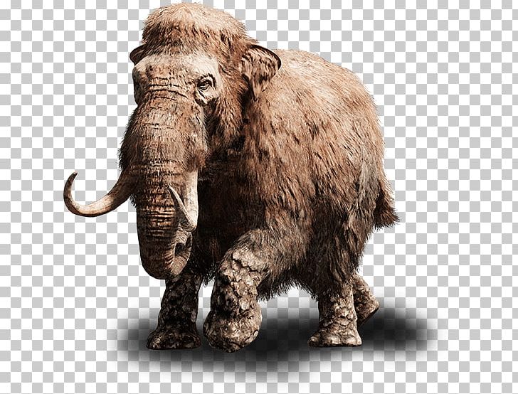 Far Cry Primal Far Cry Instincts Far Cry 3 PlayStation 4 Woolly Mammoth PNG, Clipart, African Elephant, Cattle Like Mammal, Elephant, Elephants And Mammoths, Far Cry Free PNG Download