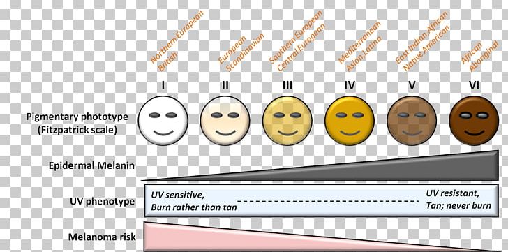 Fitzpatrick Scale Human Skin Color Von Luschan's Chromatic Scale Fotoepilazione PNG, Clipart, Angle, Brand, Color, Dermatology, Diagram Free PNG Download