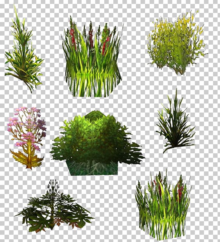 Texture Mapping Plant World Of Warcraft Shrub PNG, Clipart, Alpha Channel, Aquarium Decor, Computer Software, Digital Image, Evergreen Free PNG Download