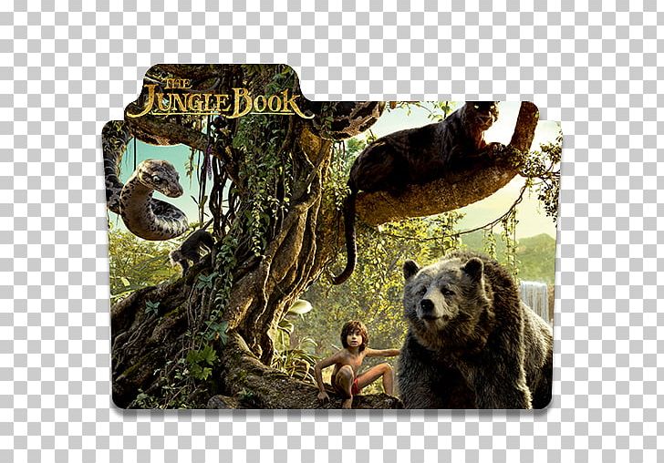 Mowgli The Jungle Book YouTube Film PNG, Clipart, Bear, Bill Murray, Carnivoran, Cartoon, Fauna Free PNG Download