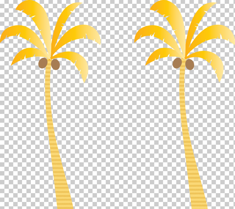 Palm Trees PNG, Clipart, Beach, Biology, Cartoon Tree, Leaf, Line Free PNG Download