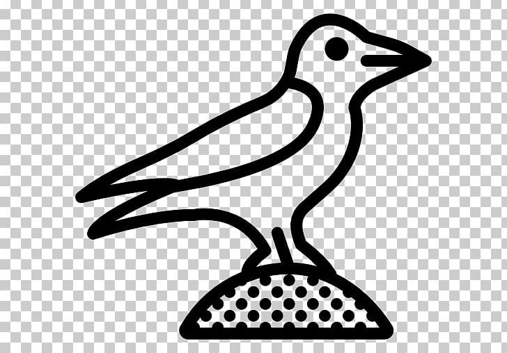 Computer Icons Icon Design PNG, Clipart, Artwork, Beak, Bird, Black And White, Computer Icons Free PNG Download