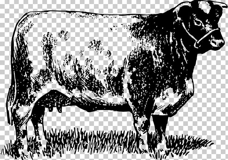Dairy Cattle Zebu Bull Ox Pen PNG, Clipart, Animals, Black And White, Bull, Cattle, Cattle Like Mammal Free PNG Download
