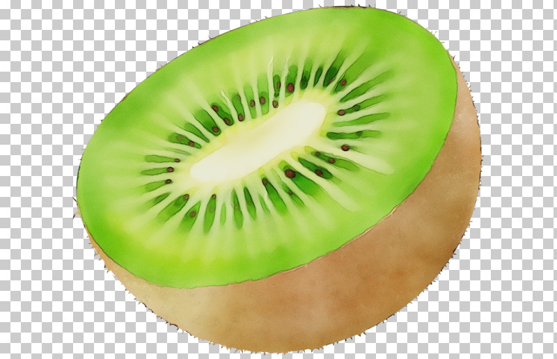 Kiwi PNG, Clipart, Closeup, Fruit, Kiwi, Paint, Watercolor Free PNG Download