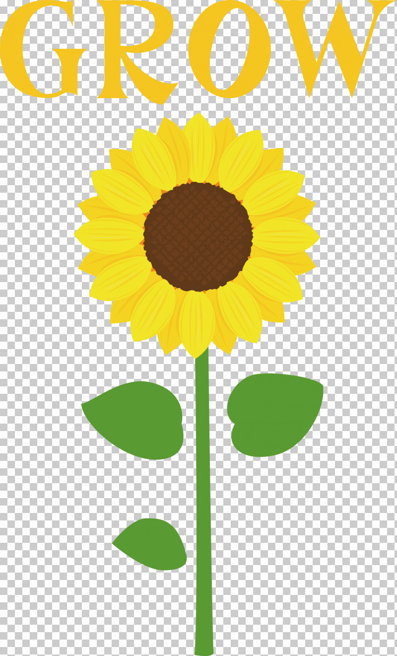 GROW Flower PNG, Clipart, Clothing, Code, Dress, Dress Code, Education Free PNG Download