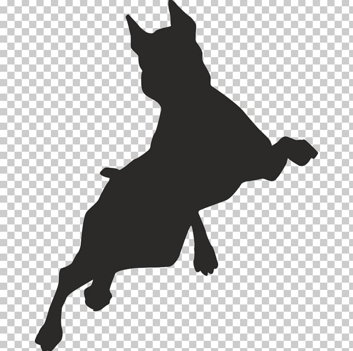 Border Collie Puppy Free Jumping PNG, Clipart, Animal, Animals, Black, Border Collie, Carnivoran Free PNG Download