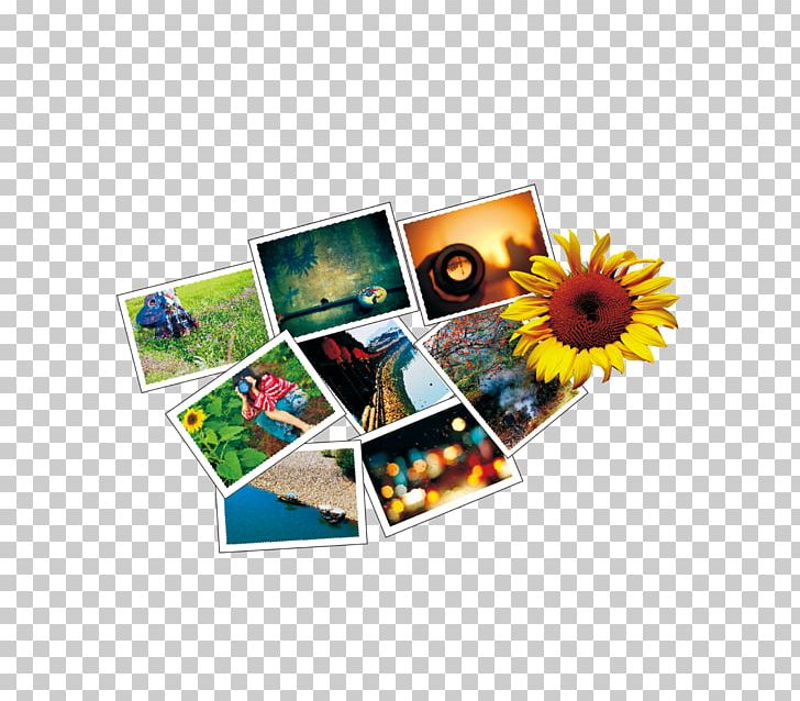 Computer Computer Wallpaper Photo Camera PNG, Clipart, Adobe Illustrator, Collage, Computer, Computer Wallpaper, Download Free PNG Download