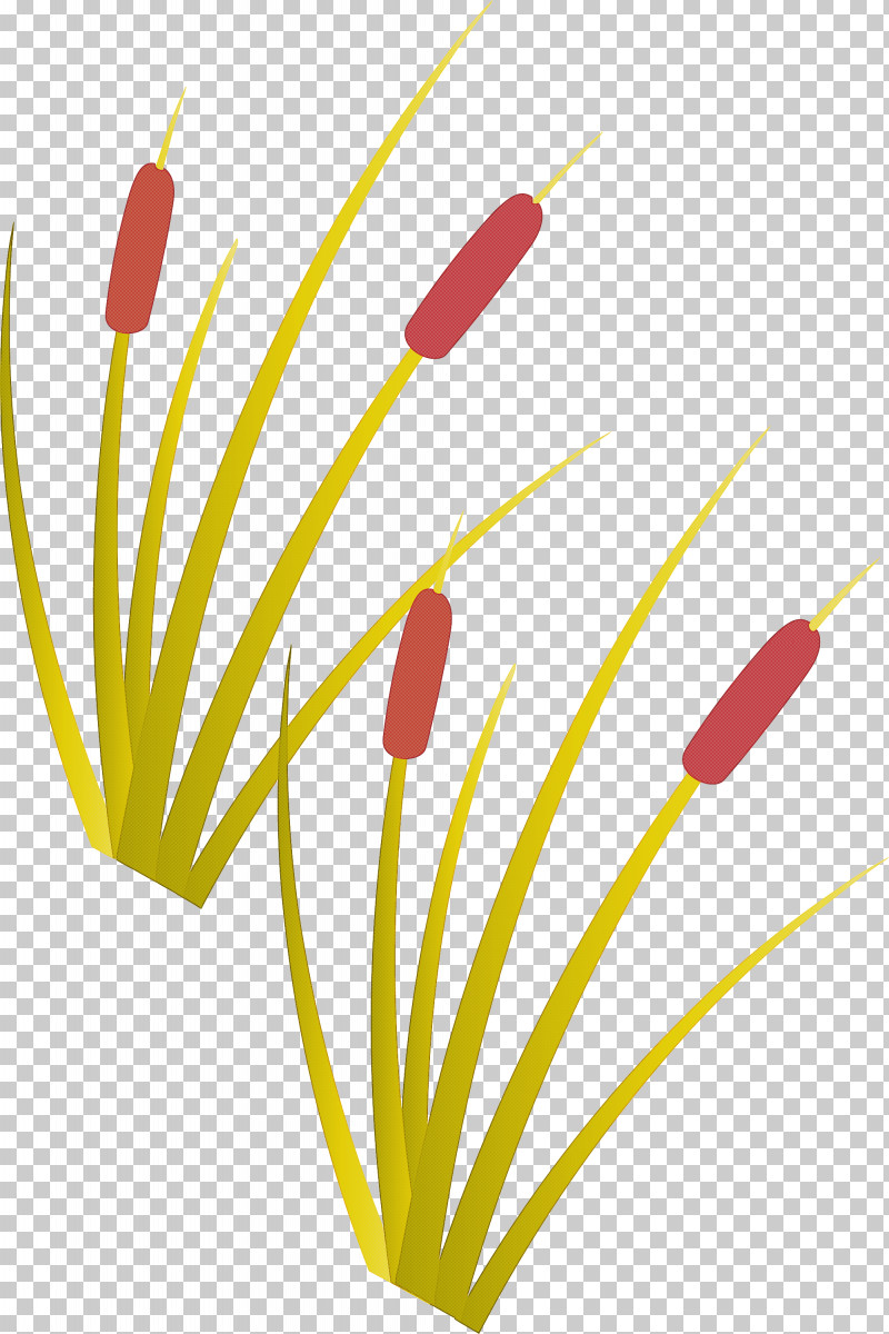 Tree Forest PNG, Clipart, Closeup, Flower, Forest, Leaf, Line Free PNG Download