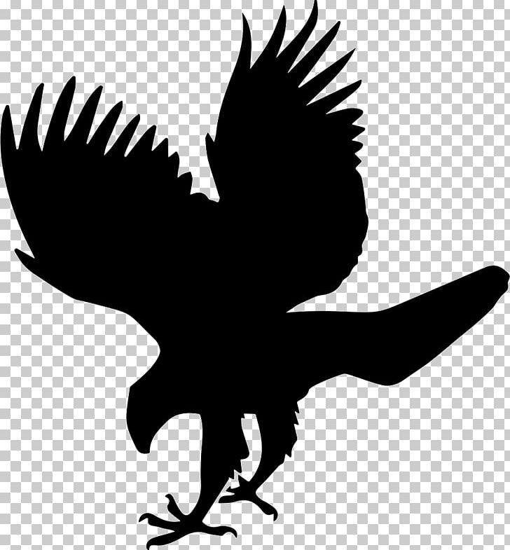 Bird Falcon Hawk Computer Icons PNG, Clipart, Accipitridae, Animal, Animals, Artwork, Beak Free PNG Download