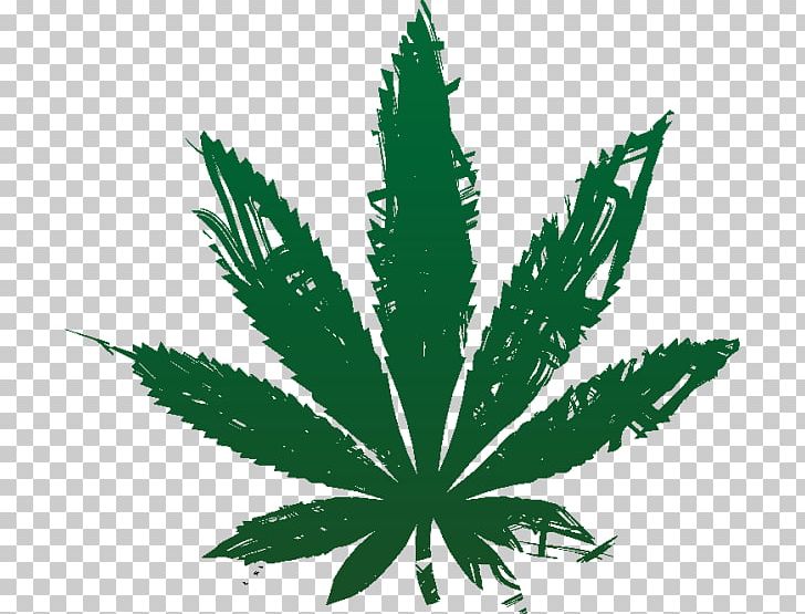 Cannabis Open Graphics Illustration PNG, Clipart, Cannabis, Drug, Hemp, Hemp Family, Leaf Free PNG Download