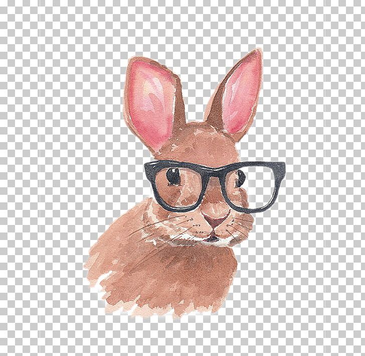 Lionhead Rabbit Easter Bunny Glasses Drawing PNG, Clipart, Animals, Art, Clothing, Cuteness, Drawing Free PNG Download