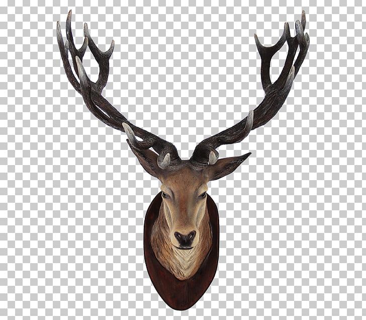 Sika Deer PNG, Clipart, Android, Animals, Antelope, Antler, Computer Icons Free PNG Download