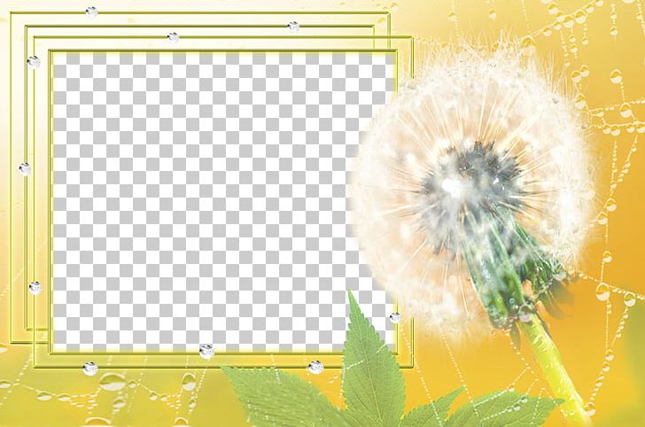 Drawing Frame Software PNG, Clipart, Border, Border Frame, Certificate Border, Computer Wallpaper, Dandelion Free PNG Download