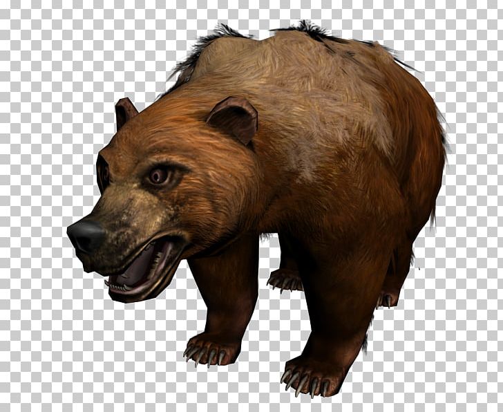 Grizzly Bear Alaska Peninsula Brown Bear Terrestrial Animal Fur PNG, Clipart, Alaska Peninsula Brown Bear, Animal, Animals, Bear, Bear 3d Free PNG Download