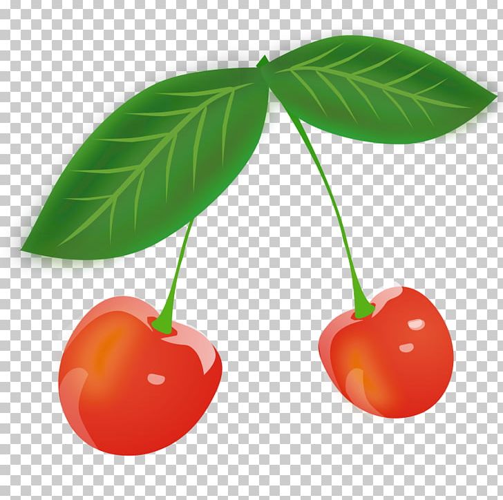 Cherry PNG, Clipart, Cherry, Food, Fruit, Leaf, Natural Foods Free PNG Download