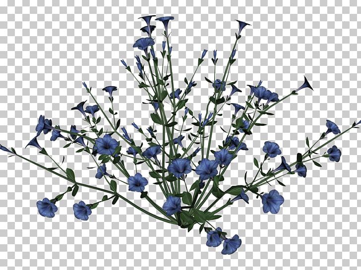 Flower Display Resolution PNG, Clipart, Blue, Branch, Chicory, Cut Flowers, Desktop Wallpaper Free PNG Download