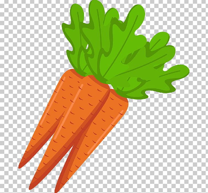 Carrot Vegetarian Cuisine Vegetable Radish PNG, Clipart, Carrot, Drawing, Encapsulated Postscript, Food, Fruit Free PNG Download