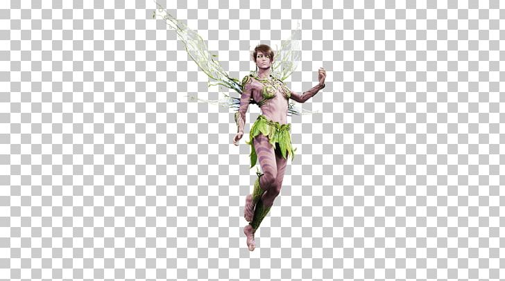 Paragon Fairy Heroes Of The Storm Video Game Character PNG, Clipart, Artwork, Character, Computer Software, Costume, Fairy Free PNG Download