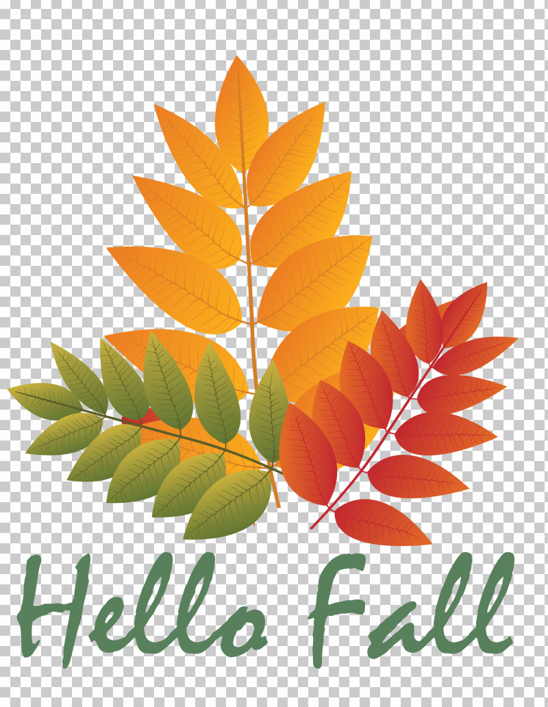Hello Autumn Welcome Autumn Hello Fall PNG, Clipart, Autumn, Drawing, Hello Autumn, Hello Fall, Leaf Free PNG Download
