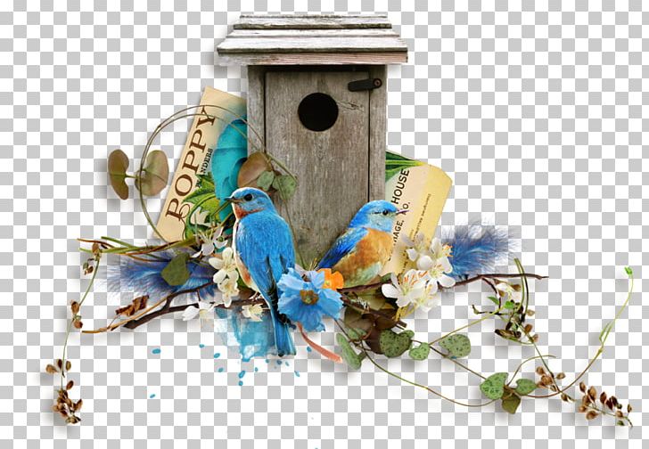 Bird Nest Nest Box PNG, Clipart, Animals, Bird, Bird Nest, Bird Supply, Bluebird Free PNG Download