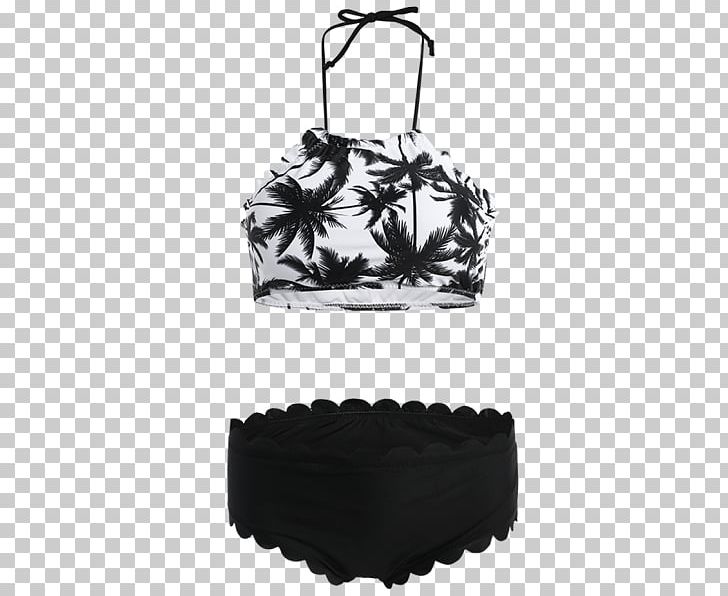 Coconut Water Coconut Milk Nata De Coco Arecaceae PNG, Clipart, Arecaceae, Bikini, Black, Bra, Coconut Free PNG Download