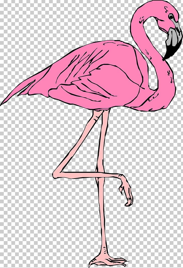 Flamingo Free Content Website PNG, Clipart, Animals, Area, Art, Beak, Bird Free PNG Download