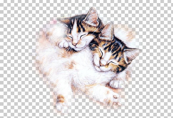 Kitten American Shorthair European Shorthair Domestic Short-haired Cat PNG, Clipart, American Shorthair, Animaatio, Animals, Carnivoran, Cat Free PNG Download