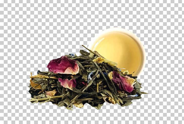 Green Tea Tea Bag Sencha Darjeeling Tea PNG, Clipart, Black Tea, Breakfast, Da Hong Pao, Darjeeling Tea, Dianhong Free PNG Download