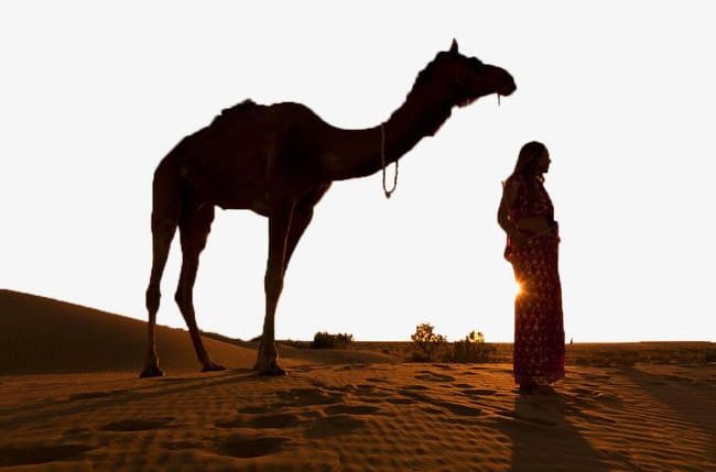 People Under Desert Camel PNG, Clipart, Camel, Camel Clipart, Desert, Desert Camel, Desert Clipart Free PNG Download
