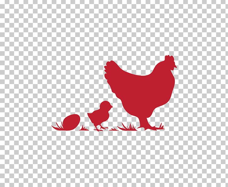 Rooster Chicken Poultry Farming Egg PNG, Clipart, Animals, Beak, Bird, Chicken, Chicken As Food Free PNG Download