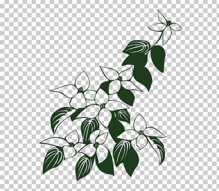 Flowering Dogwood Kousa Dogwood Drawing Graphics PNG, Clipart, Black And White, Branch, Cornus, Cornus Kousa, Desktop Wallpaper Free PNG Download