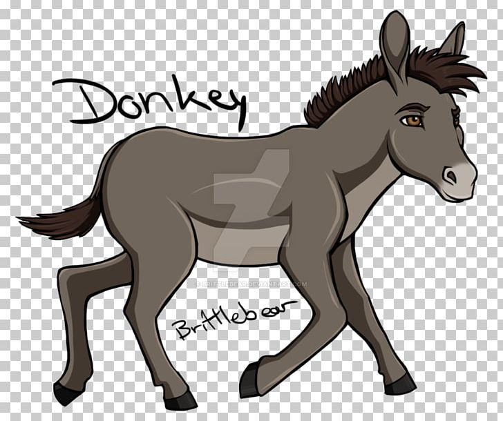 Mule Donkey Foal Pony Stallion PNG, Clipart, Animals, Art, Bridle, Colt, Deer Free PNG Download