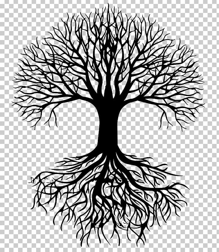 Tree Silhouette Root PNG, Clipart, Artwork, Black And White, Branch, Drawing, Flora Free PNG Download