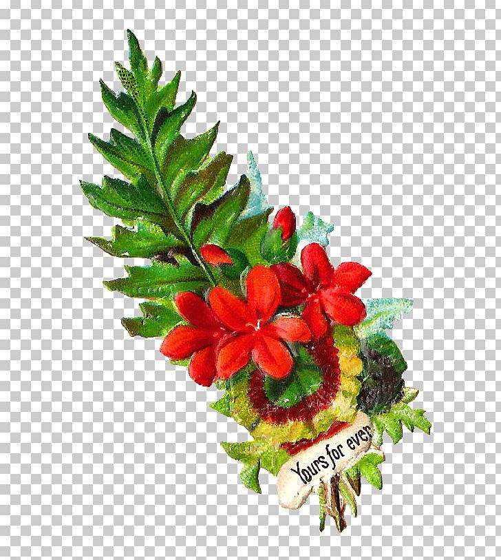 Cut Flowers Flower Bouquet Floral Design Fern PNG, Clipart, Antique, Bouquet, Cut Flowers, Digital Image, Fern Free PNG Download