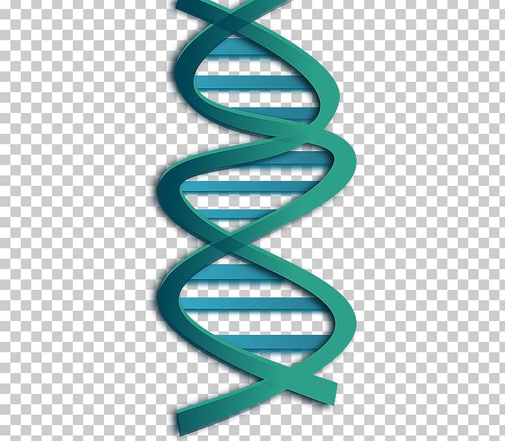 DNA Nucleic Acid Double Helix PNG, Clipart, Computer Icons, Dna, Gene, Genetics, Helix Free PNG Download