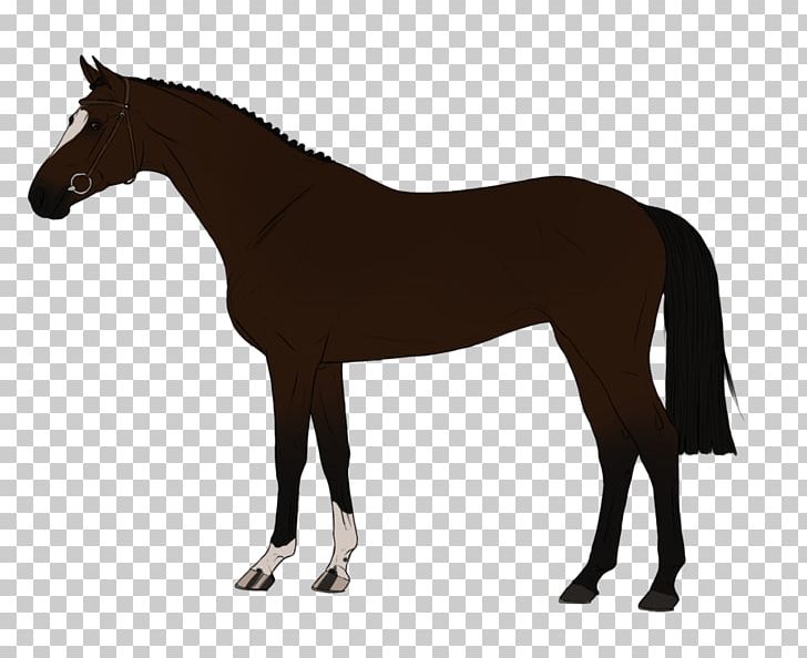 Thoroughbred Friesian Horse Stallion Black Horse Training PNG, Clipart, Animal Figure, Anpvs7, Black, Bridle, Colt Free PNG Download