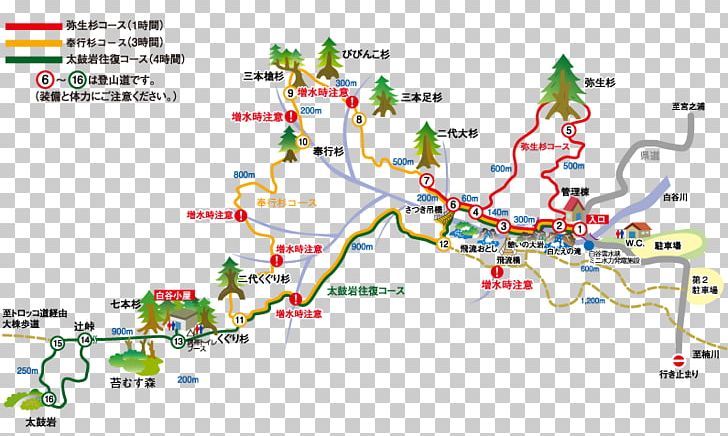 Shiratani Unsui Gorge Jōmon Sugi Mt. Miyanoura 太鼓岩 Yakusugi PNG, Clipart, Area, Canyon, Diagram, Hayao Miyazaki, Hiking Free PNG Download