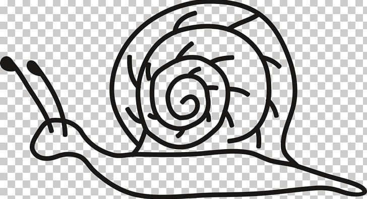 Snail Drawing Coloring Book PNG, Clipart, Animal, Animals, Black And White, Coloring Book, Drawing Free PNG Download