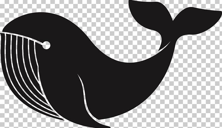 Illustration Graphics Portable Network Graphics PNG, Clipart, Art, Beak, Bird, Black And White, Cetacea Free PNG Download