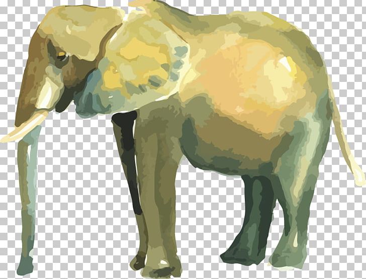 Indian Elephant African Elephant Graphic Design PNG, Clipart, African Elephant, Career Portfolio, Elephant, Elephantidae, Elephants And Mammoths Free PNG Download
