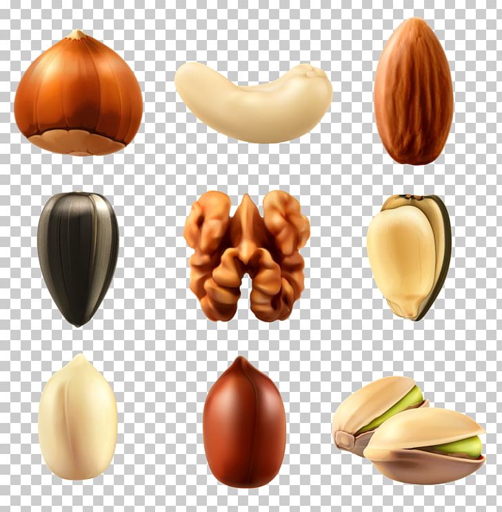 Peanut Cashew PNG, Clipart, Almond, Cashew, Cashew Nuts, Commodity, Encapsulated Postscript Free PNG Download