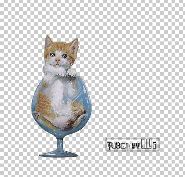Whiskers Cat Kitten PSP Game PNG, Clipart, Animals, Blog, Blogger, Cat, Cat Like Mammal Free PNG Download