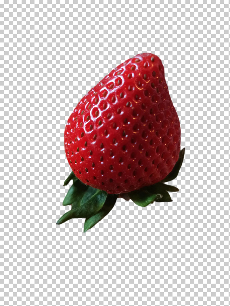 Strawberry PNG, Clipart, Accessory Fruit, Berry, Biology, Fruit, Plants Free PNG Download