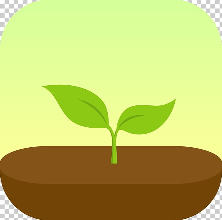 Forest IPhone App Store Android PNG, Clipart, Alternative Medicine, Android, App Store, Forest, Grass Free PNG Download