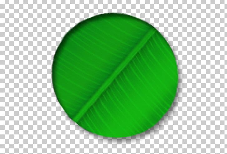 Paper Leaf PNG, Clipart, 500 X, Circle, Grass, Green, Leaf Free PNG Download
