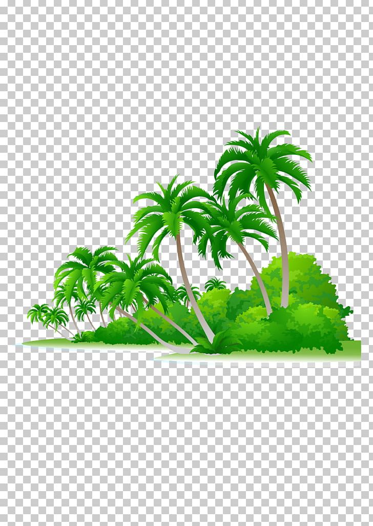 Arecaceae Euclidean Tree Illustration PNG, Clipart, Are, Area, Beach, Beaches, Beach Party Free PNG Download