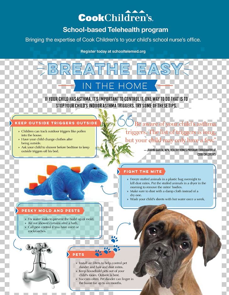 Dog Breed Indoor Air Quality Asthma UK Boxer PNG, Clipart, Advertising, Asthma, Asthma Uk, Boxer, Brand Free PNG Download