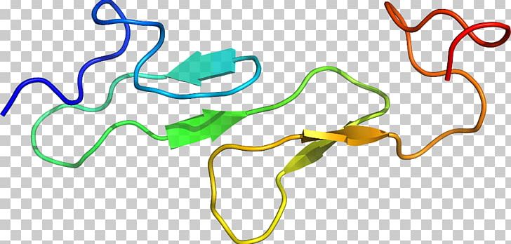 Organism Line PNG, Clipart, Area, Art, Artwork, Line, Organism Free PNG Download