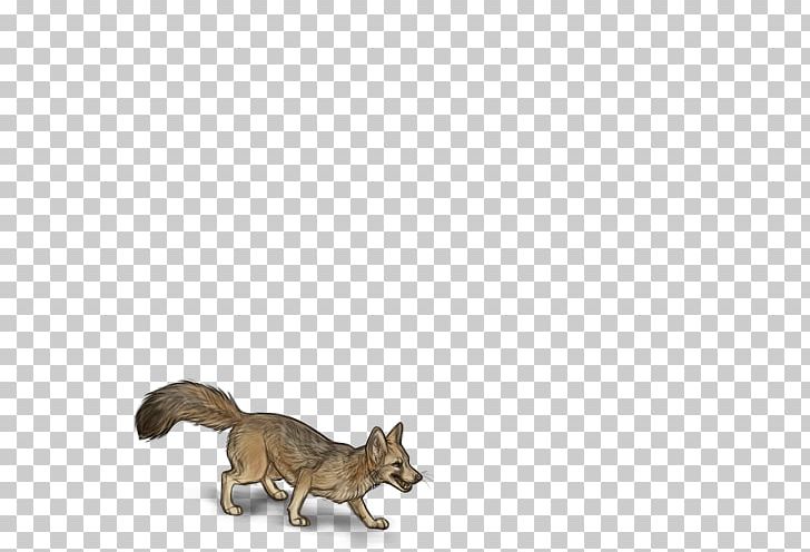 Red Fox Cat Dog Fur Canidae PNG, Clipart, Animals, Canidae, Carnivoran, Cat, Dog Free PNG Download